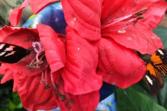 IMG_20210928_133335