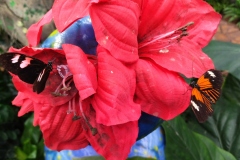 IMG_20210928_133338