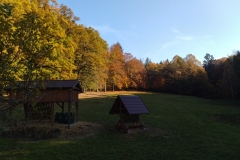 IMG_20211030_145946