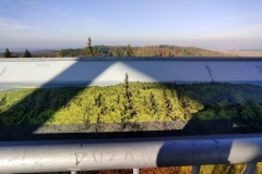 IMG_20211030_153855