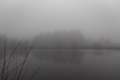 IMG_20211112_161856