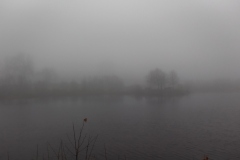 IMG_20211112_163025