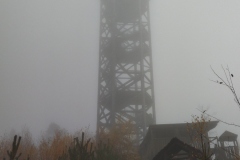 IMG_20211113_124223