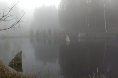IMG_20211113_130554