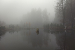 IMG_20211113_130633