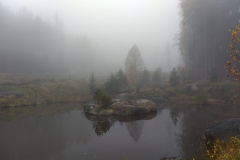 IMG_20211113_131501