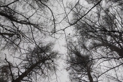 IMG_20211113_133404