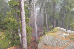 IMG_20211113_104126