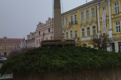 IMG_20211113_113016