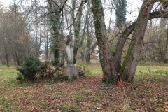 IMG_20211114_134811