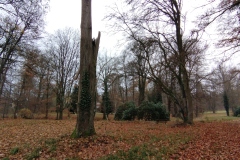 IMG_20211114_141813