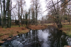 IMG_20211114_142854
