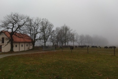 IMG_20211114_101519