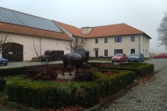 IMG_20211114_101556