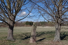 IMG_20210404_193759
