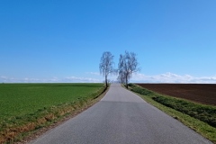 IMG_20210404_194140
