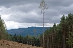 Holašovické Stonehenge