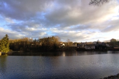 Královský rybník