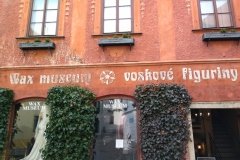 IMG_20220206_135131