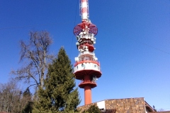 IMG_20220312_122255