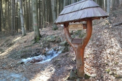 IMG_20220312_125110