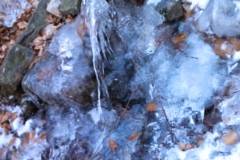 IMG_20220312_125240