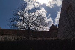 IMG_20220410_134531