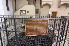 IMG_20220410_135336