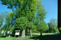 IMG_20220514_172009