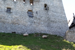 IMG_20220515_095933