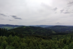 IMG_20220523_132650