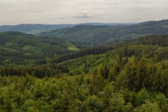 IMG_20220523_133050