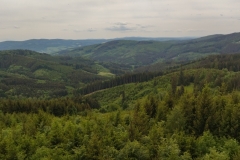 IMG_20220523_133052
