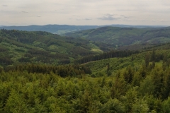 IMG_20220523_133115