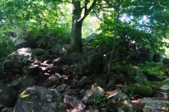 IMG_20220706_094541