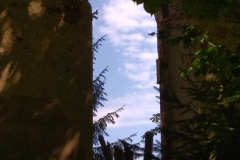 IMG_20220706_110052