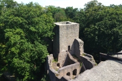 IMG_20220807_145859