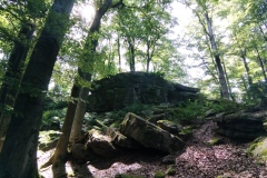 IMG_20220807_154400
