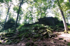 IMG_20220807_154527