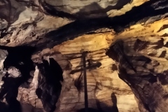 IMG_20220807_132231