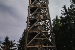 IMG_20220813_162830