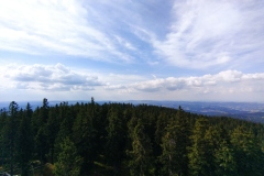 IMG_20220813_163543