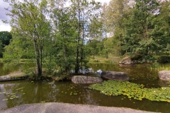 IMG_20220904_123009
