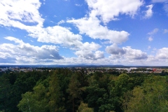IMG_20220904_130101