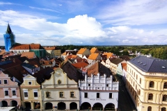 IMG_20220911_161851