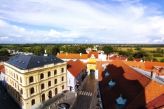 IMG_20220911_161955
