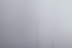 IMG_20220928_102836