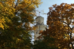 IMG_20221008_104849