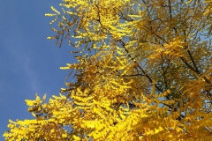 IMG_20221008_105422