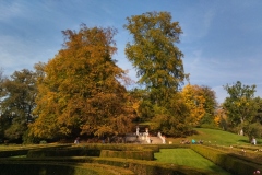 IMG_20221008_110446